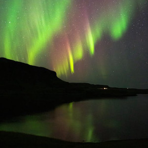 日本中文字幕在线观看
