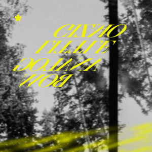 日本中文字幕在线观看
