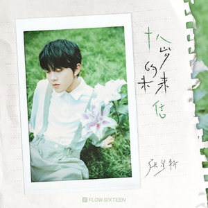 日本中文字幕在线观看
