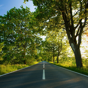 日本中文字幕在线观看
